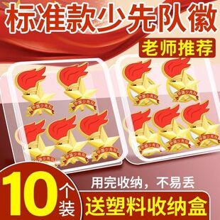 小学生队徽中国少年先锋队别针队徽金属滴塑少先队员火炬队徽包邮
