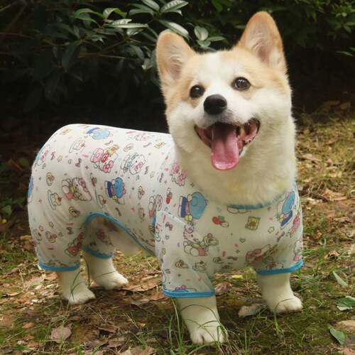宠物四脚衣柯基柴犬狗狗衣服春夏薄网纱防晒防掉毛防脏居家服睡衣