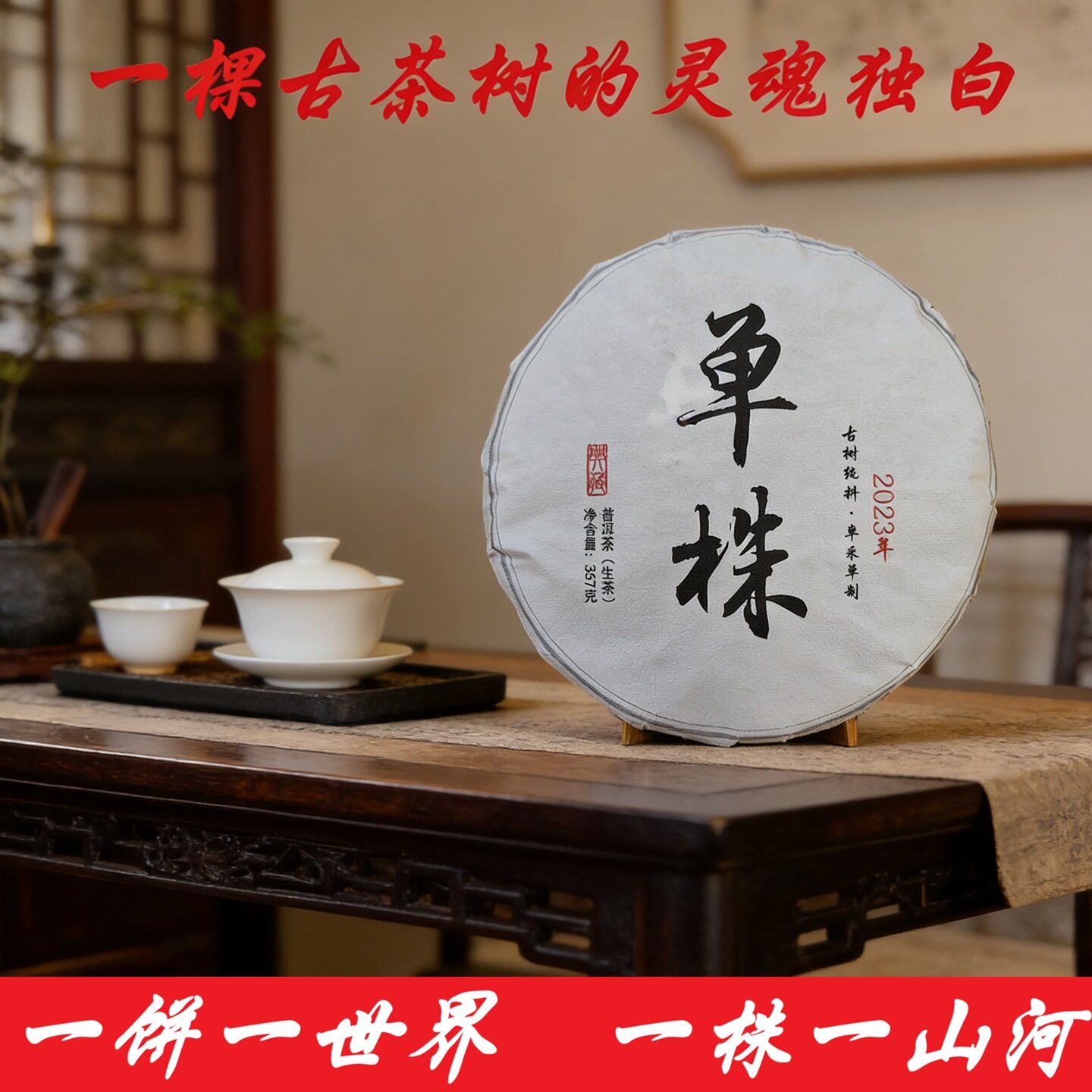 云南普洱茶源头好古树单株头春精品百年古树春茶优选古树生茶