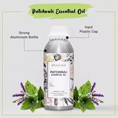 广藿香植物 印度国际直邮patchouli广藿香精油 1kg 叶子蒸馏