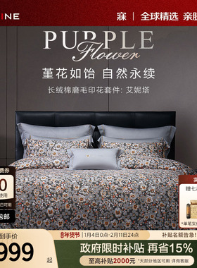 MINE/寐长绒棉双面磨毛四件套纯棉高级床笠秋冬床单套件 艾妮塔