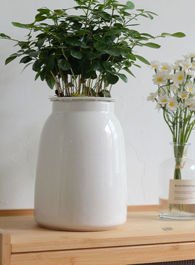 白色简约风陶瓷花瓶摆件客厅插花装饰品创意个性花器花插花器摆件