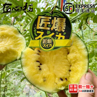匠心极匠爆冰淇淋西瓜特小凤黄心黄壤沙肉新鲜水果薄皮脆甜孕妇水