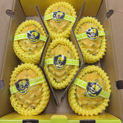 燕窝果5-7个整箱麒麟果超甜黄皮火龙果新鲜热带水果顺丰多省包邮