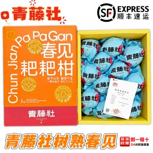 青藤社春见耙耙柑7斤礼盒装日本静冈种源新鲜水果柑橘桔子丑柑