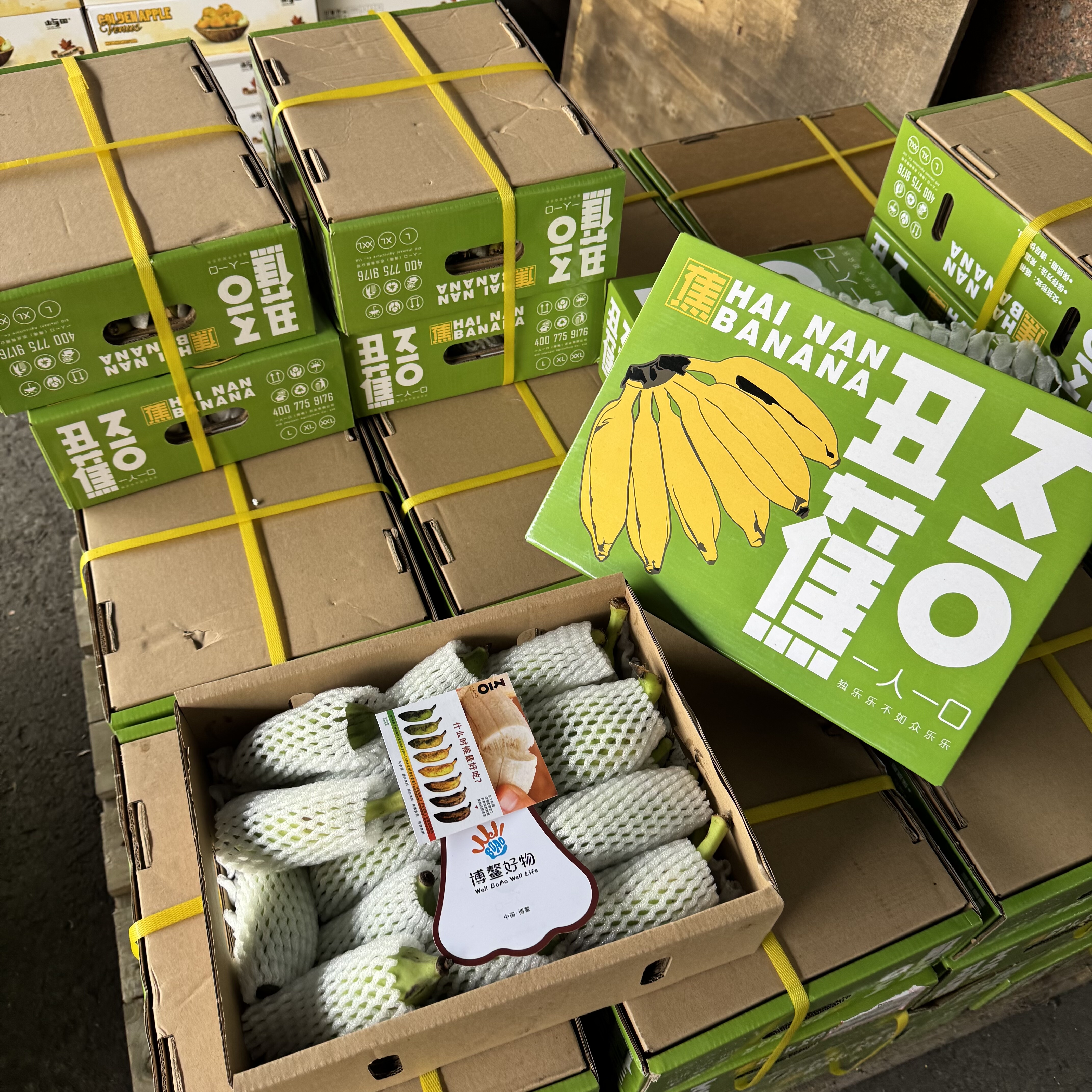 一人一口海南丑蕉4斤礼盒装树熟香糯软甜丑蕉当季水果顺丰原包装