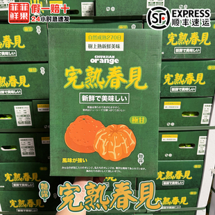 现货完熟桔纯甜大雅柑二代春见耙耙柑礼盒装新鲜橘子当季安甜顺丰