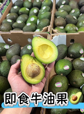 哈斯牛油果大果智利进口新鲜水果宝宝孕妇水果宝宝辅食顺丰包邮