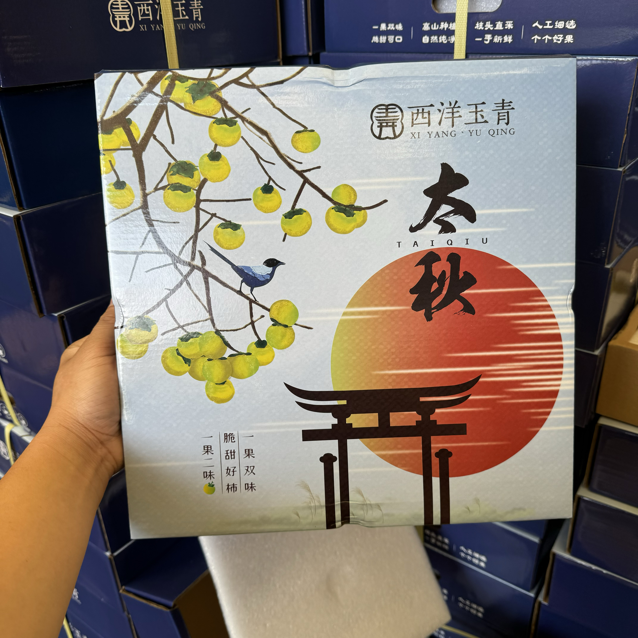 西洋玉清太秋脆柿日本品种纯甜无酸不涩口硬柿子当季水果礼盒顺丰
