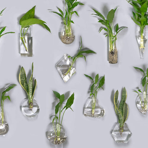 挂壁花瓶素材模板 挂壁花瓶图片下载 小麦优选