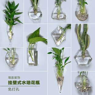 掛壁掛水培綠蘿花瓶墻上水養(yǎng)植物玻璃瓶器皿掛墻創(chuàng)意透明花盆裝 飾