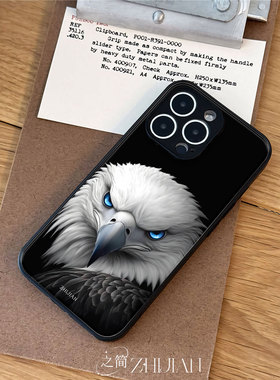 之简ZHIJIAN《白头蓝鹰》玻璃亮面磨砂手机壳新款小众不撞壳适用苹果17promax红米K70PROOPPOK12X小米15SPROV
