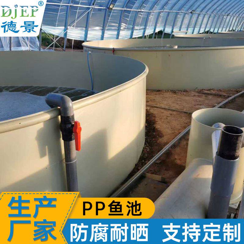 鱼苗孵化桶pp鱼池塑料鱼池抗冲击虾苗养殖设备鱼虾蟹圆形pp养殖池