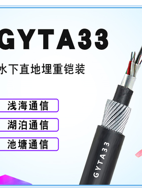 湖泊淡水用钢丝铠光缆 GYTA33直埋防腐蚀室外单模48/24芯G652光纤