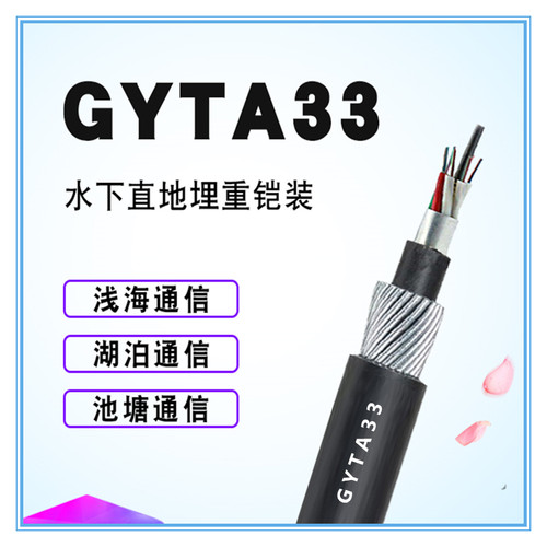 G652钢丝铠光缆GYTA33