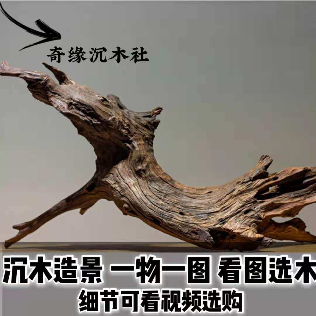 紫柚木鱼缸造景沉木天然免煮树桩龟晒台寄居蟹装饰南美流木造景木