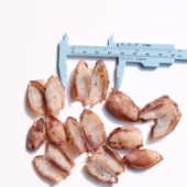 淡晒墨鱼淡干无盐子乌原味鱿鱼仔新货乌片籽乌仔去头去内脏小乌子