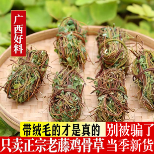 鸡骨草广西野生鸡骨草茶叶整株新鲜干货泡茶中药材大黄草无硫