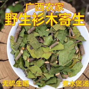 100%野生正品 杉木寄生 杉树寄生 杉寄生 切片段干品500g 中药材