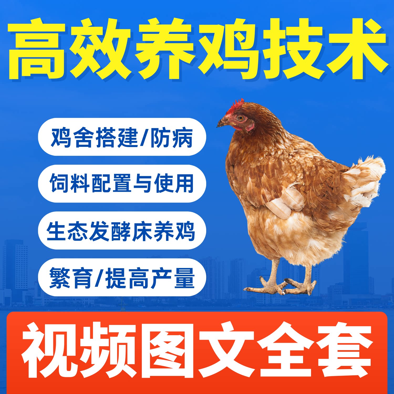 养鸡视频教程家禽养殖技术培训农村柴土鸡饲养教学放散养无公害
