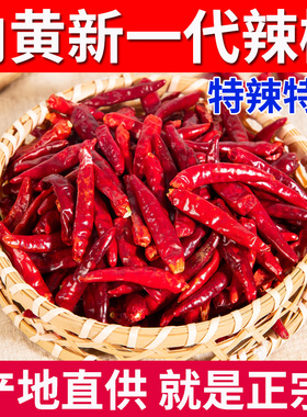 河南内黄新一代干辣椒正宗500g特辣特香天鹰小椒段红辣椒干包装袋