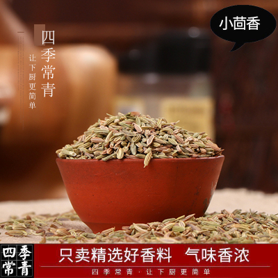 小茴香香辛料调料甘肃食用茴香籽