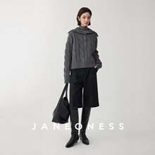JANEONESS 高克重100羊毛粗针廓形大立/翻领立体绞花针织套头毛衣