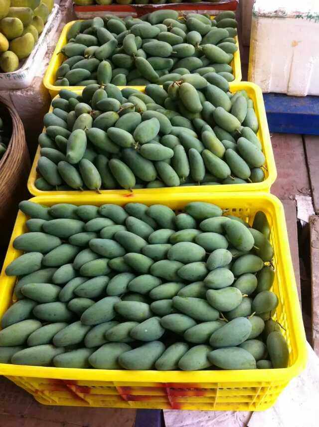 小桂七芒果新鲜水果广西百色田东特产芒果 5斤包邮 农家自摘青芒