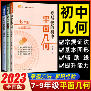 2023版爱与恨的初中平面几何七八九年级数学培优新方法奥数思维拓展拔尖特训数学竞赛初一二三数学几何模型辅助线复习辅导书黄东坡