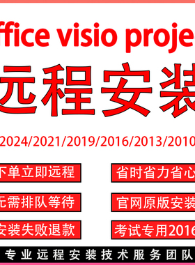 office软件word excel ppt visio project远程安装调试办公软件