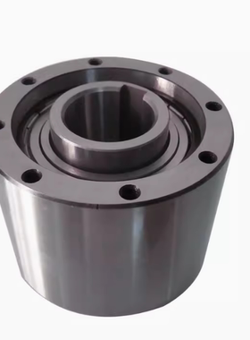 超越离合器FSO600齿轮箱配件减速机配件瑞班单向逆止器FXM170-63M