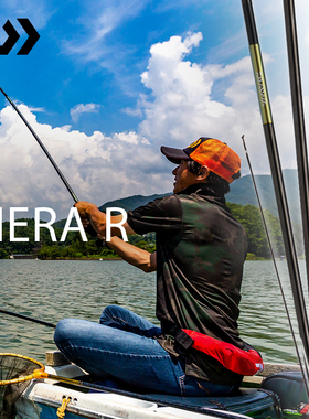 DAIWA达亿瓦 HERA R 鲫鱼钓竿日产轻量并继式鲫竿台钓竿