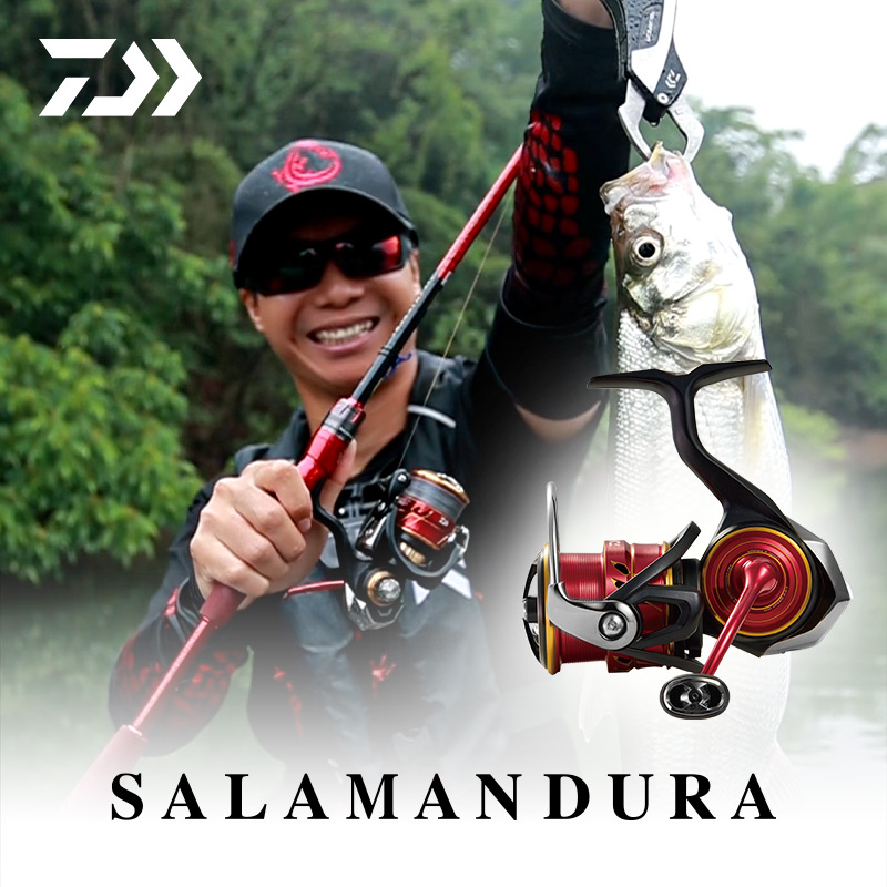 达亿瓦火蜥蜴LT轻量纺车轮