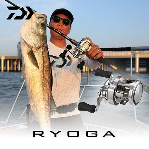 达亿瓦26新款肉鸽鼓轮