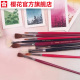 官方旗舰店 日本sakura樱花文具画材长杆圆头平头马鬃毛画笔尖头水彩水粉丙烯颜料绘画笔初学者