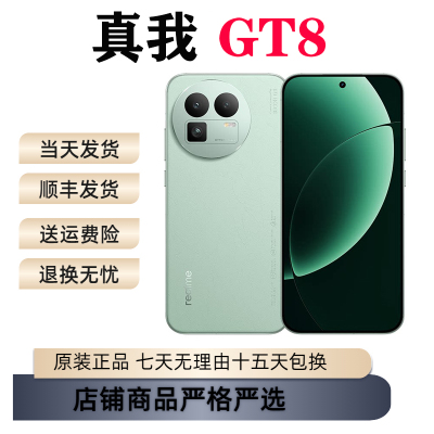 Realme/真我 真我GT8