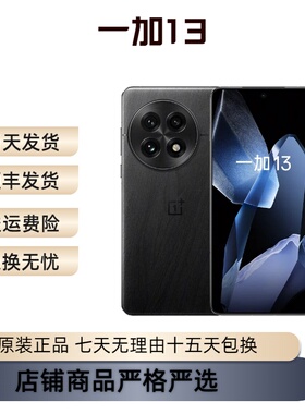 OnePlus/一加 一加 13