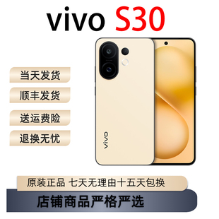 vivo S30