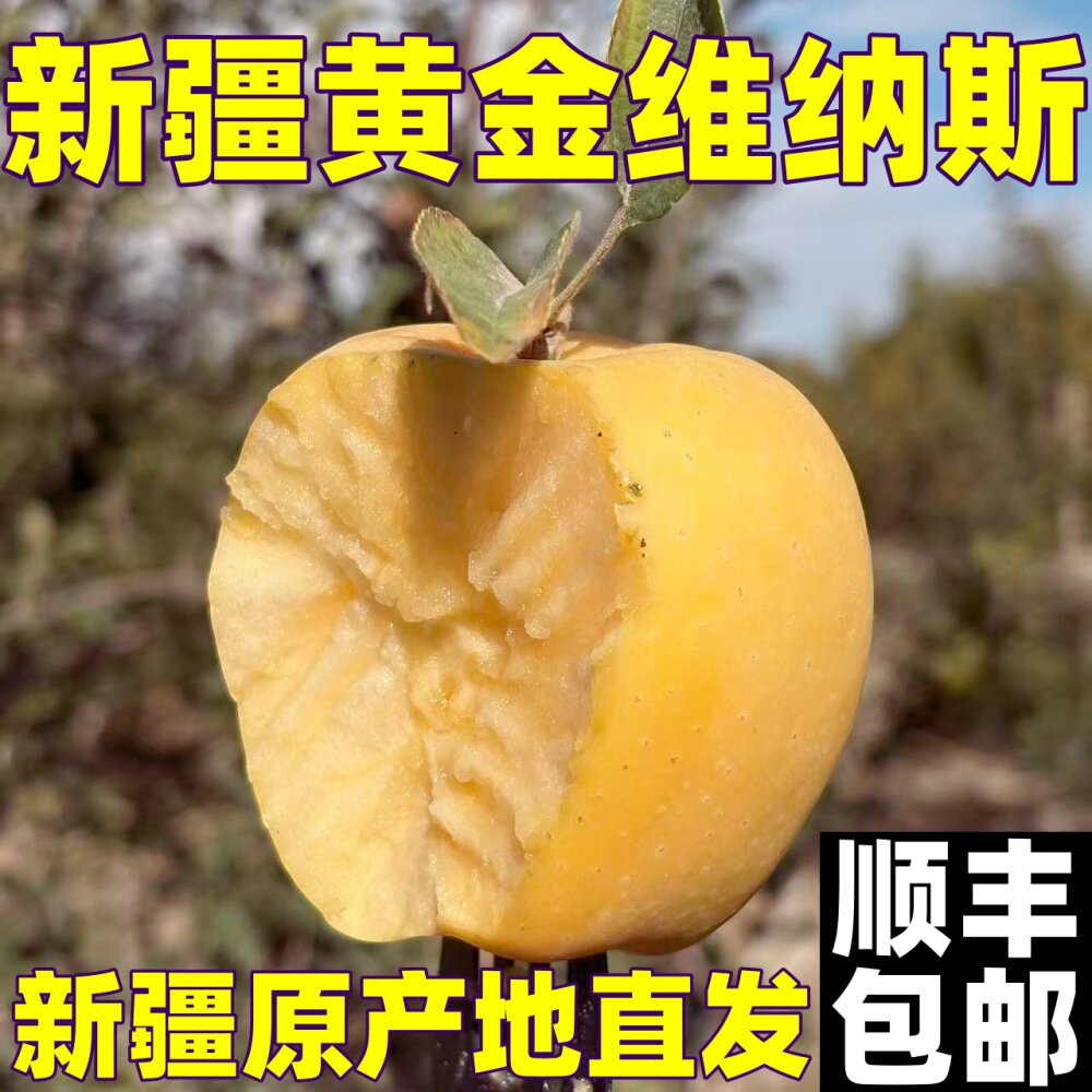 阿克苏黄金维纳斯新疆直发