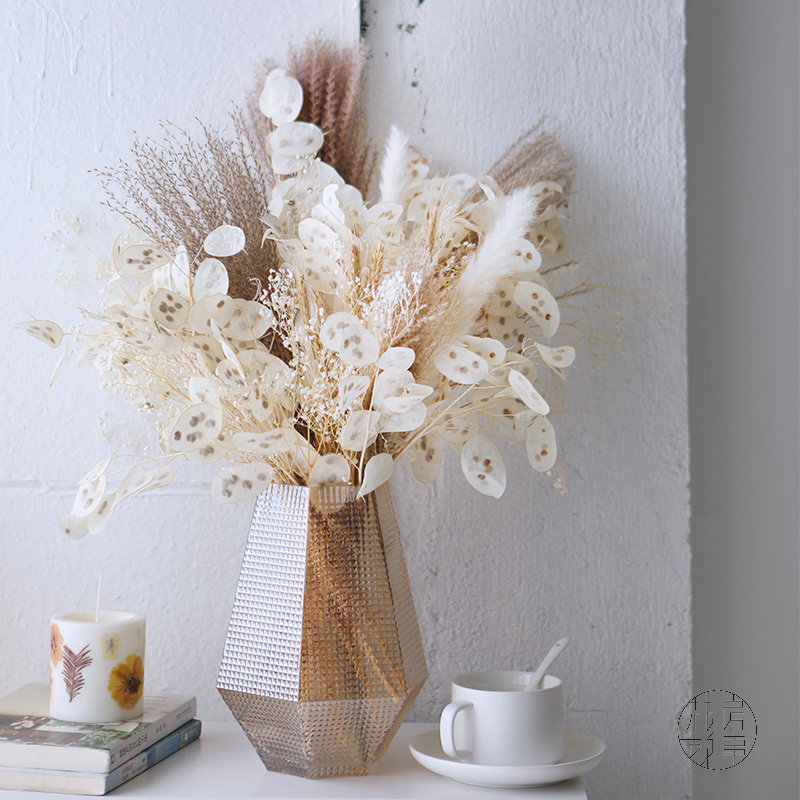 进口天然银扇叶ins北欧日式干花