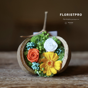 进口永生花种子球复刻莫奈花园花盒插花真花生日38女神节送长辈