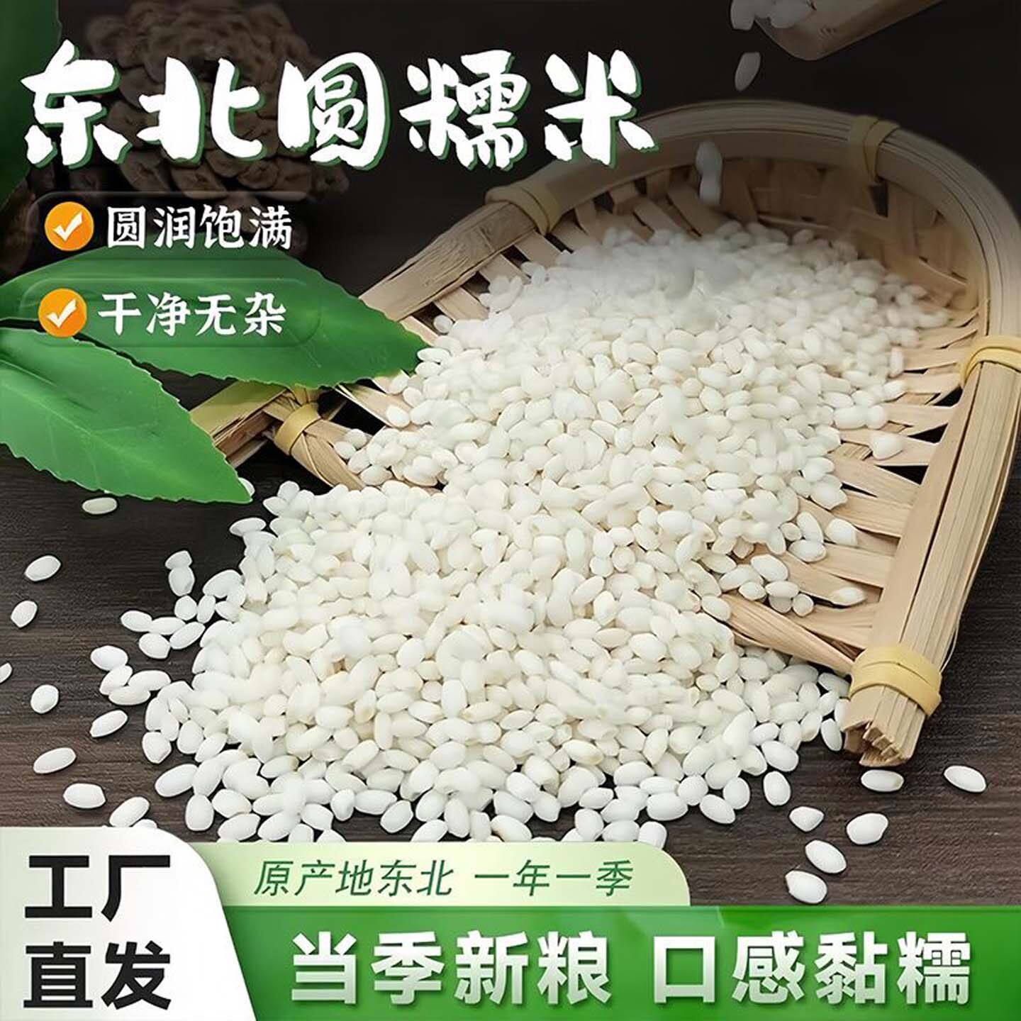 雪溪正宗东北圆糯米新米五常有机