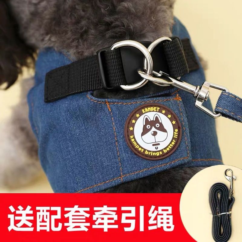 小型中型犬狗链子牵引绳泰迪柯基防挣脱遛狗绳宠物胸背带狗狗用品
