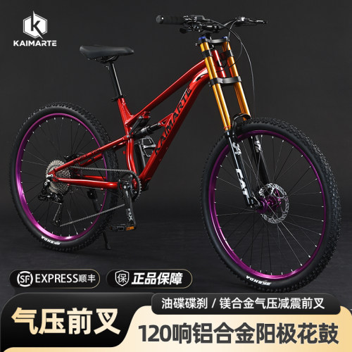铝合金油碟软尾速降蓝图26通用