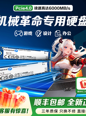 机械革命专用笔记本m2固态硬盘512g/1t/2t/4t ssd金士顿固态硬盘