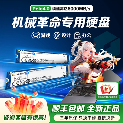 机械革命专用笔记本m2固态硬盘512g/1t/2t/4t ssd金士顿固态硬盘
