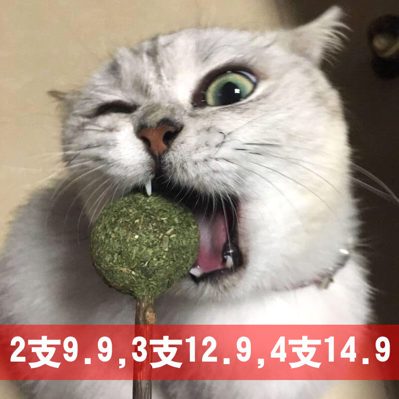 猫薄荷棒棒糖逗猫棒木天蓼球猫玩具猫磨牙棒小猫猫咪用品猫薄荷糖在类目 宠物/宠物食品及用品, 猫/狗玩具, 逗猫棒中 - 来自Buy2taobao.com提供专业的淘宝代购服务