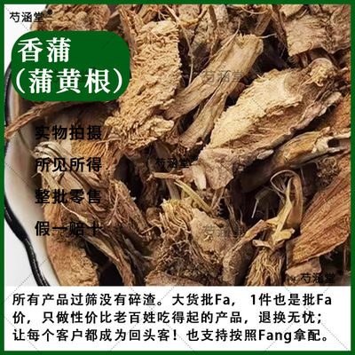 蒲黄根药材材野生蒲蒻香蒲根蒲笋