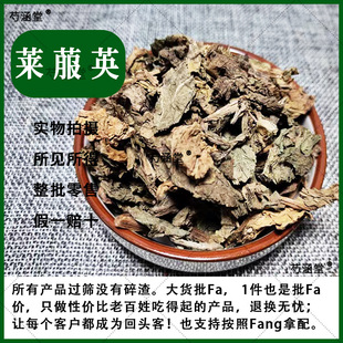 药材材 莱菔英 500g 药材精选萝卜叶 萝卜缨 新鲜萝卜叶子 莱菔缨