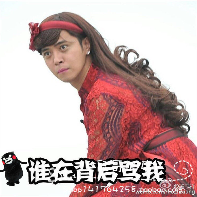 Perruque Les cheveux longs - Ref 2608643 Image 1